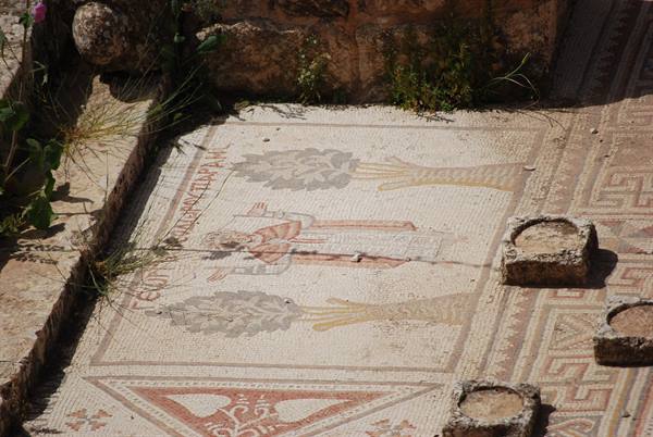 Jordan - Gerasa - Church of Saints Cosmas and Damian - Mosaic