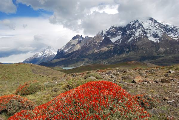 Towers of Paine - Panorama