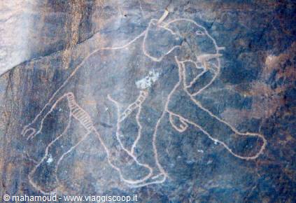 Ancient elephant petroglyph incised on dark rock in white outline