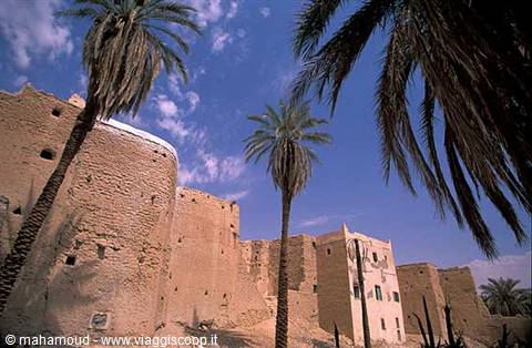Ancient mud-brick walls among palm trees under blue sky, Ghadames