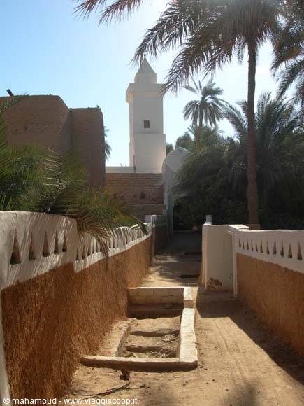 Alley between mud and lime walls, palm trees and white minaret, Siwa