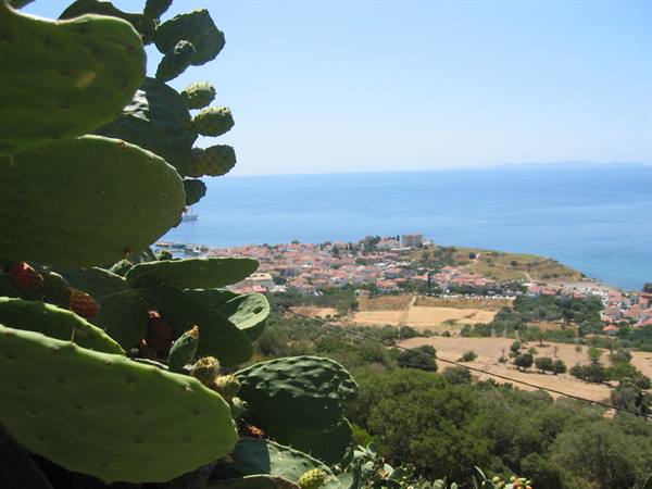 Prickly pear cactus in foreground above a coastal town by the blue sea