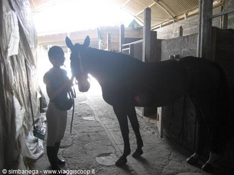 Woman petting a dark horse inside a stable, light streaming through the entrance