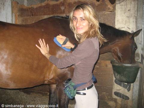 Blonde woman grooming a brown horse inside a wooden stable