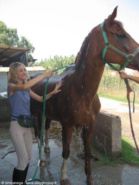 Woman washing a brown horse with a hose in a stable yard