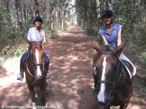 Two women riding horses along a shaded tree-lined dirt path