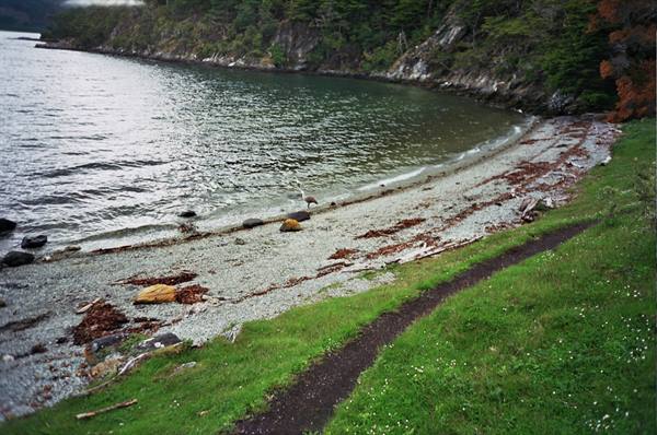 Lapataia Bay-trail