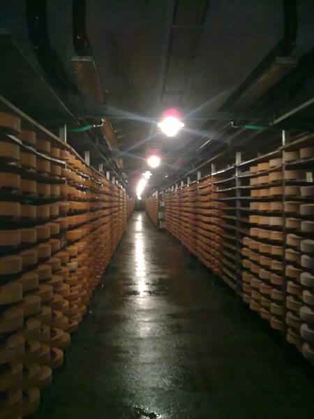 fontina ageing cave