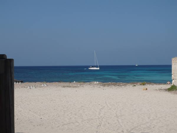 lido burrone