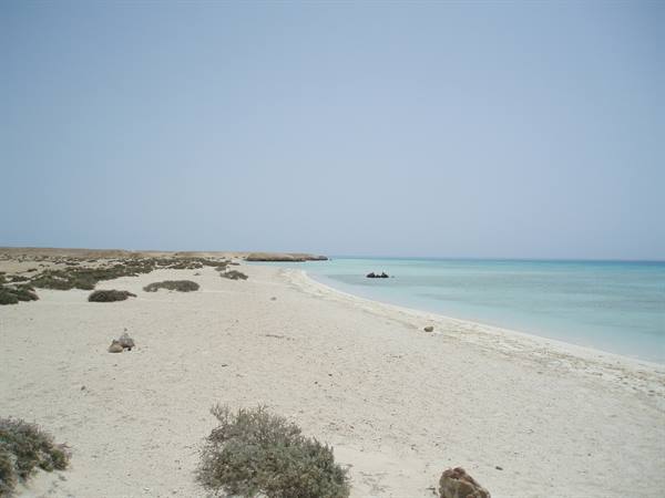 sharm el loly
