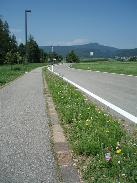 border of flowers