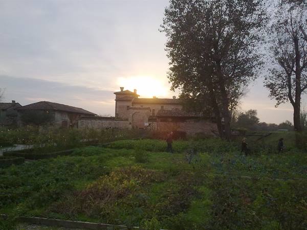 the Pallavicina court