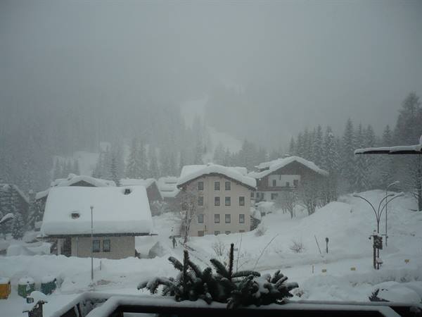 Snowfall over an alpine village, white rooftops and snowy fir trees in fog