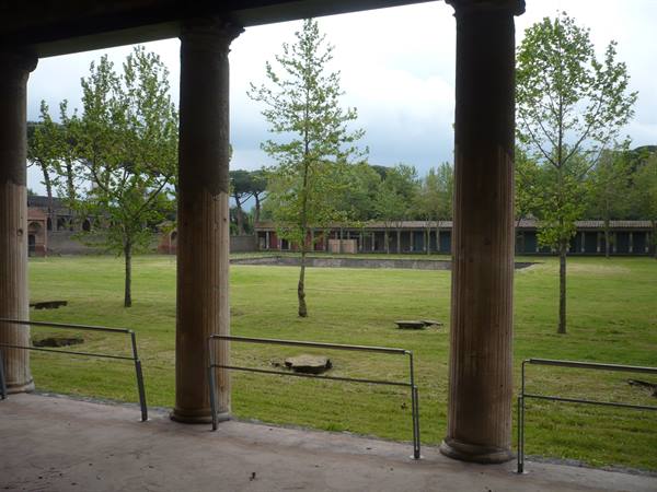 Pompeii the gymnasium
