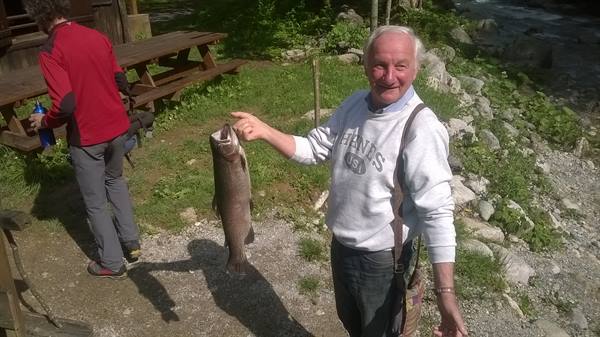 local-style trout
