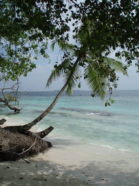 side with little beach