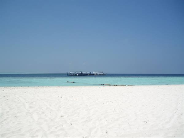 dhoni