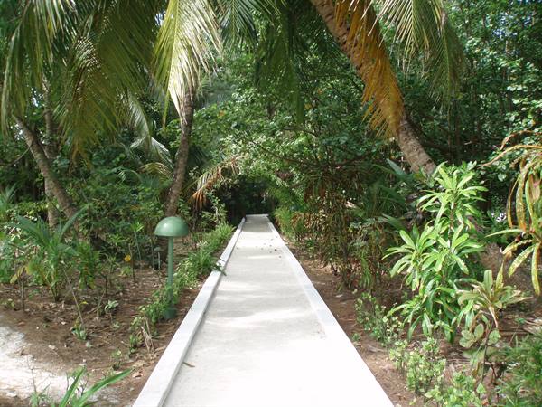 tour of the island ten minutes 