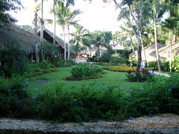 Tropical garden with palm trees, blue flowers and thatched-roof huts