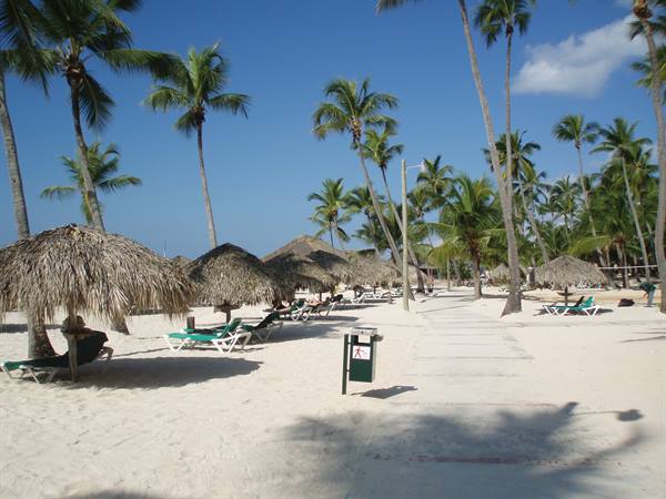 White sand beach with straw umbrellas, green loungers and palm trees in sunshine
