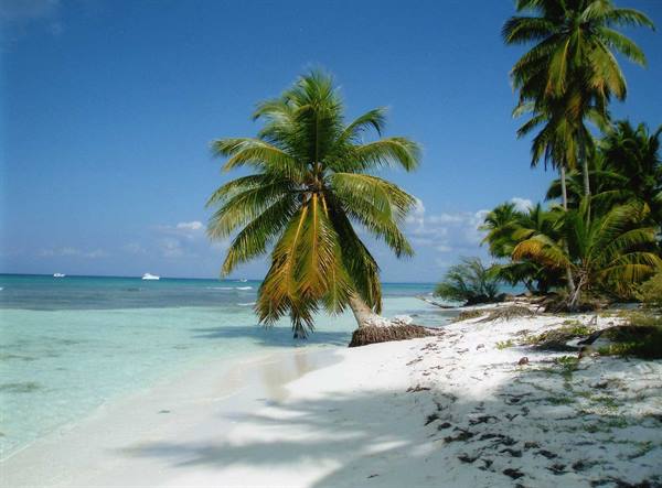 Saona island