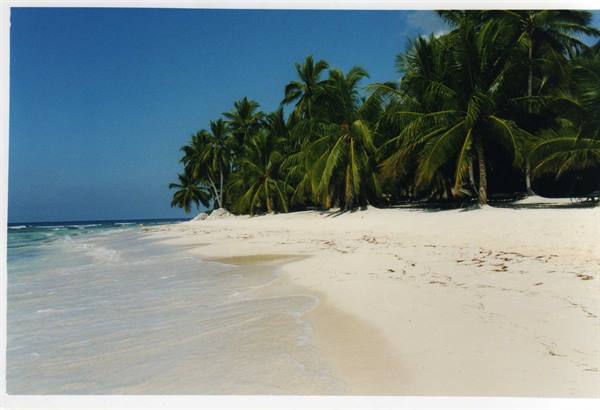 even if it looks like it, it's Saona