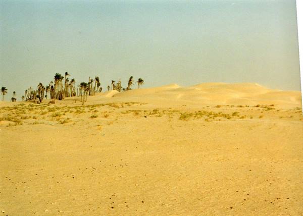 desert