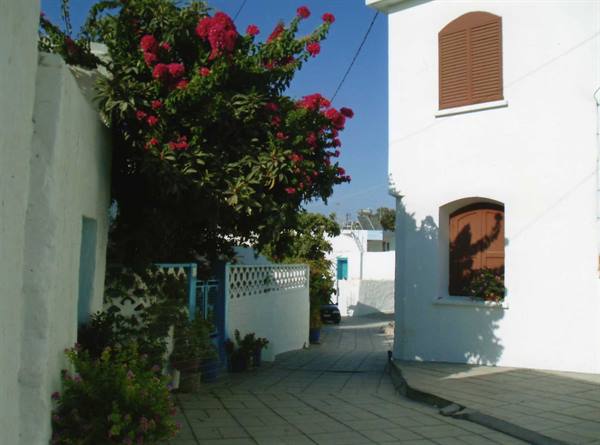 Little street of a  village