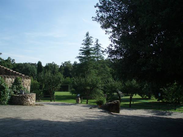 Stone-paved courtyard beside rustic farmhouse, green lawn, cedars and fruit trees