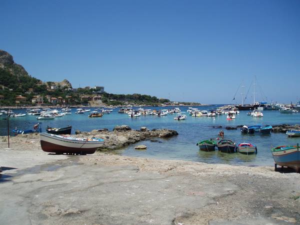 sferro cavallo