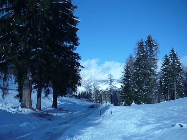 path towards Pocol