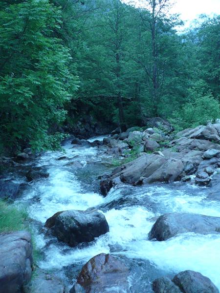 the stream