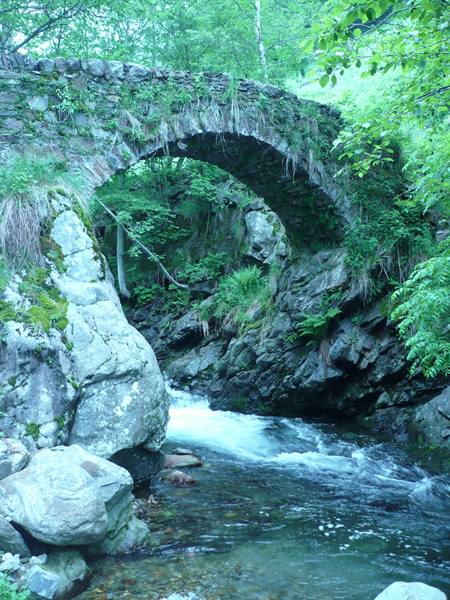 a small pedestrian bridge