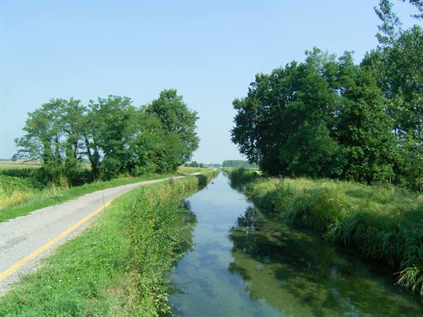 Dirt road beside a canal reflecting green trees under blue sky