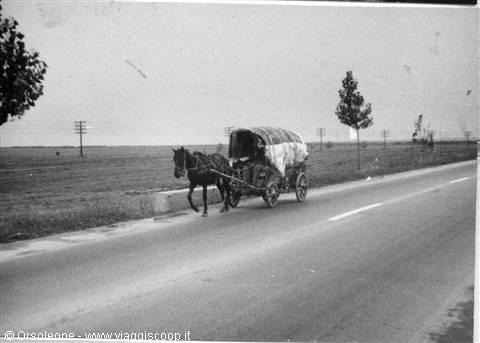 Horse pulls a covered cart along a country road, black and white photograph