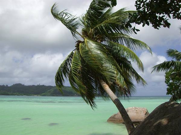 Mahe