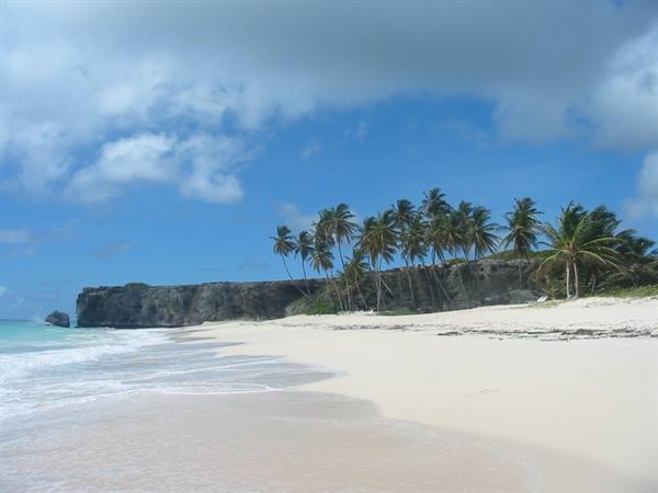 Palms over limestone cliff above white sand beach, waves on turquoise ocean