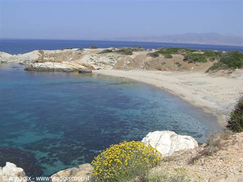 Sandy beach among white rocks, turquoise water and yellow flowering bushes