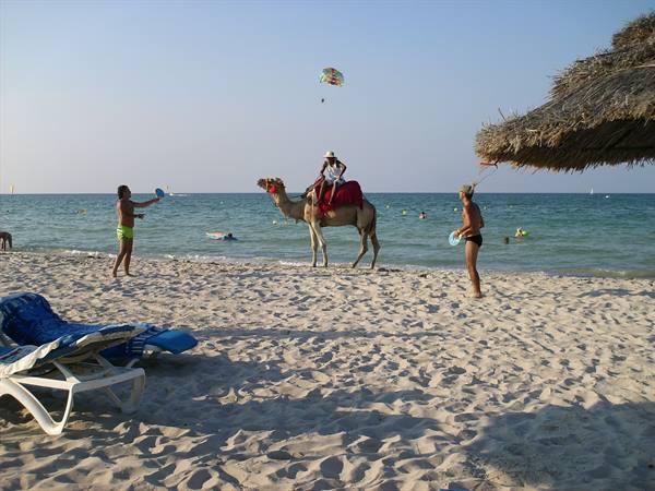 Tourist in hat riding a red-saddled camel on the sandy beach