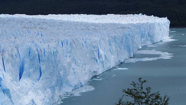 Blue ice face of Perito Moreno glacier meets the lake with floating ice chunks