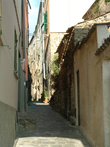 Stone-paved alley between old slate-roofed houses, sunlight and shadow