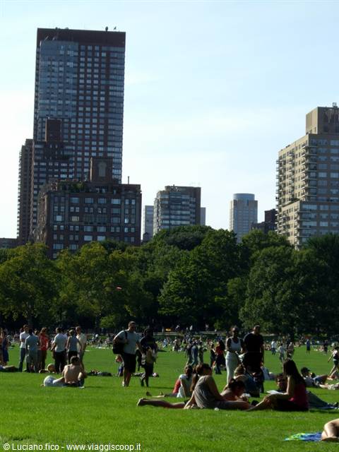 People lounging on the Great Lawn grass in Central Park, skyscrapers behind