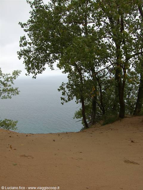 Sandy dune with green trees overlooking a gray lake under overcast sky