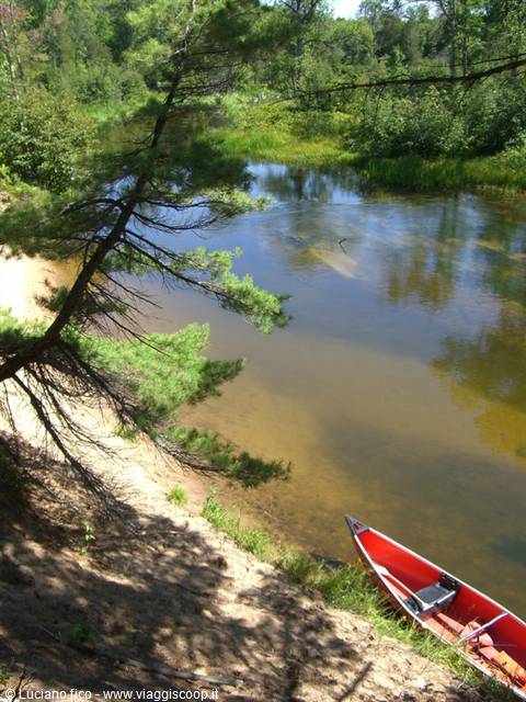 Red canoe resting on sandy shore, clear river winding among green pines