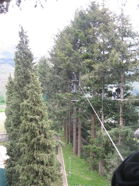 People on wooden platforms among tall firs, ropes course in daylight