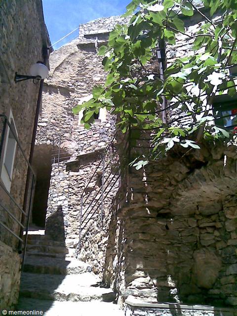 Stone alley with stairs and handrail, fig tree, sunlight