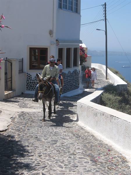 Man riding a donkey down stone steps between white houses, sea behind