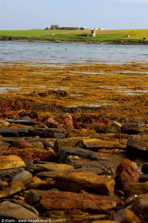 Orkney