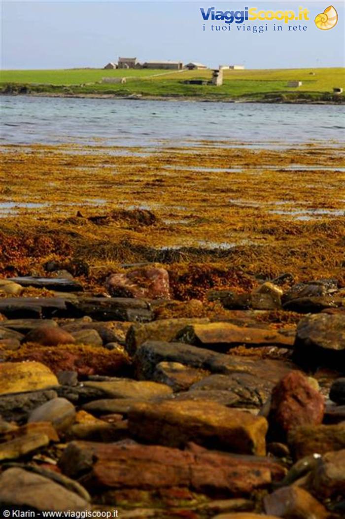 Orkney
