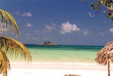 Praslin - view from the bungalow